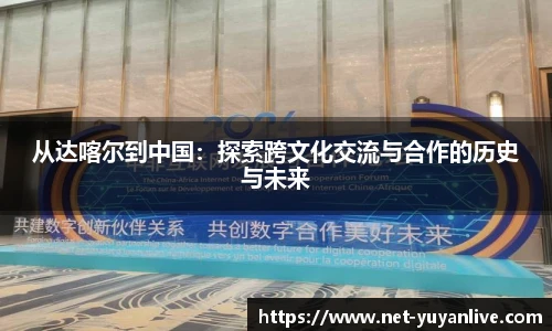 雨燕高清直播
