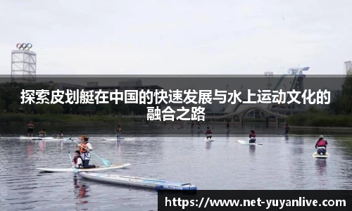 雨燕体育直播
