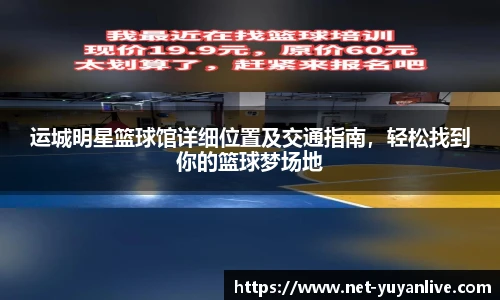 雨燕直播