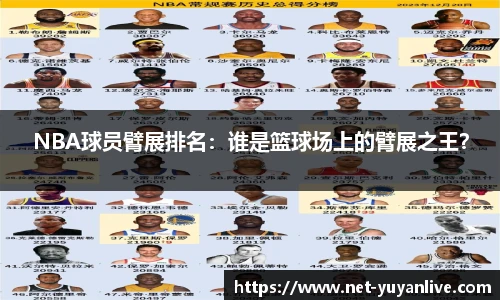 雨燕体育
