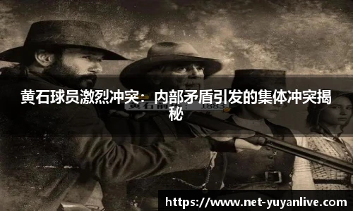 雨燕体育