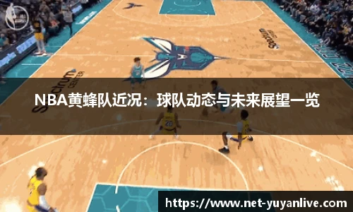 雨燕高清直播