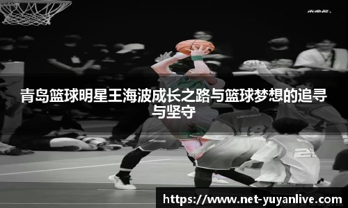 雨燕高清直播