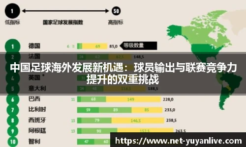 雨燕体育直播