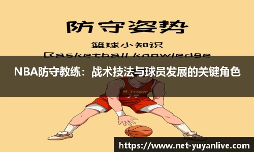 雨燕直播