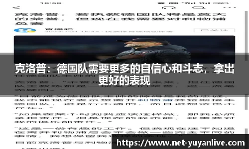 雨燕直播