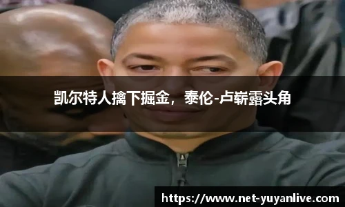 雨燕高清直播