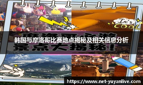 雨燕体育直播