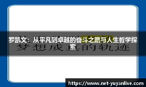 雨燕直播