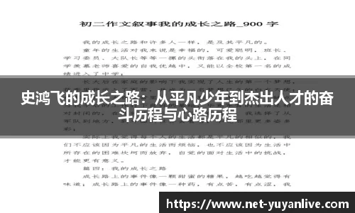 雨燕体育直播