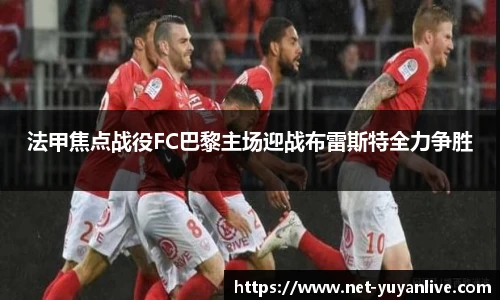 雨燕高清直播