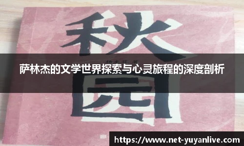 雨燕高清直播