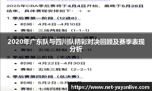雨燕体育直播