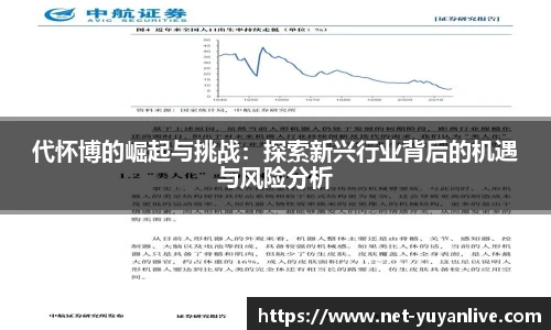 代怀博的崛起与挑战：探索新兴行业背后的机遇与风险分析
