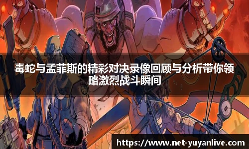 雨燕体育直播
