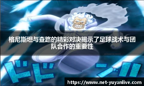 雨燕体育