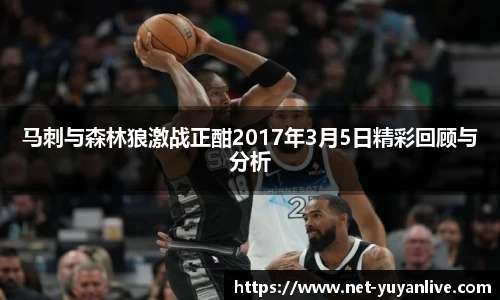 雨燕高清直播
