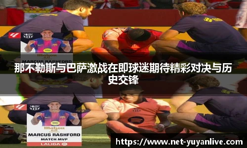雨燕体育直播