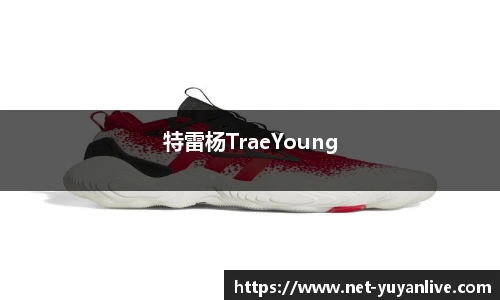 特雷杨TraeYoung