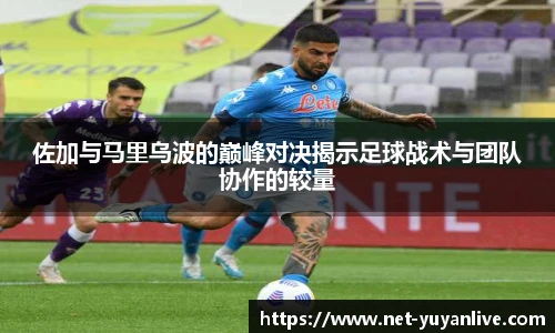 雨燕体育